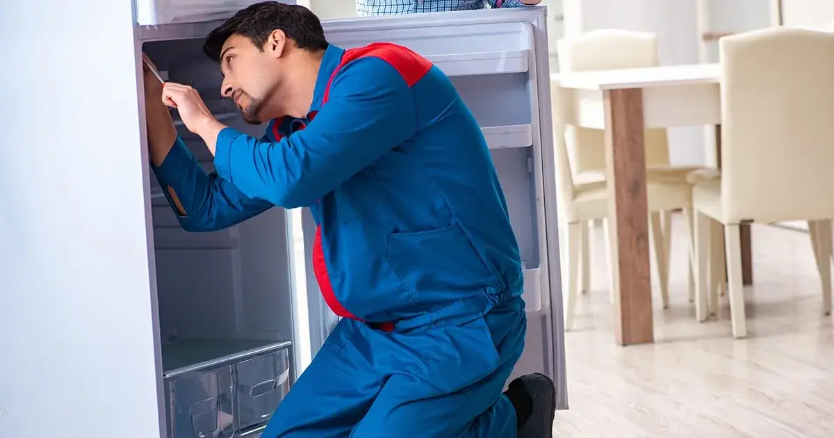 Expert Fridge Repair Services in Dubai by AliShantech